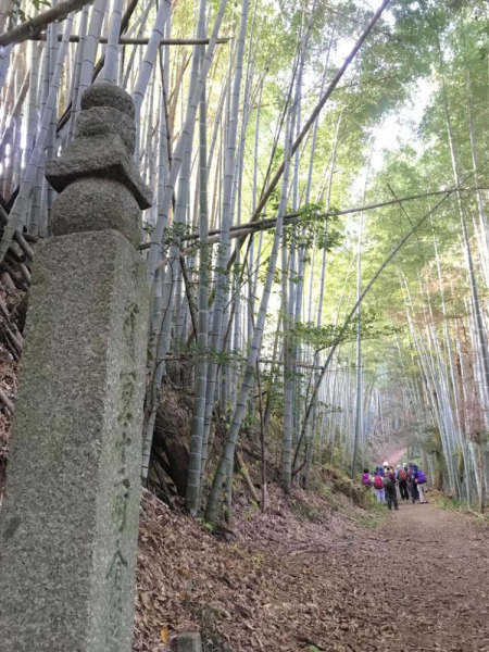 【画像】風情ある高野山町石道を歩く