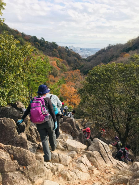 【画像】六甲山からロックガーデンを降りる