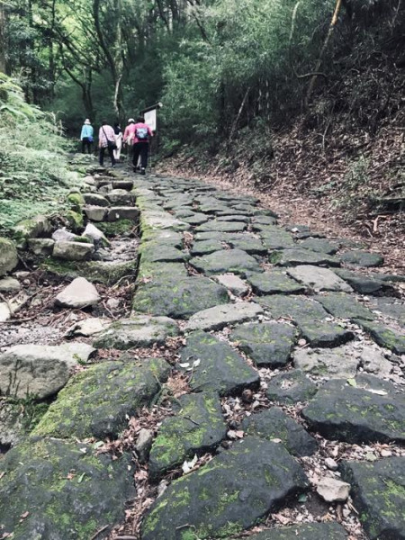 【画像】箱根旧街道の石畳