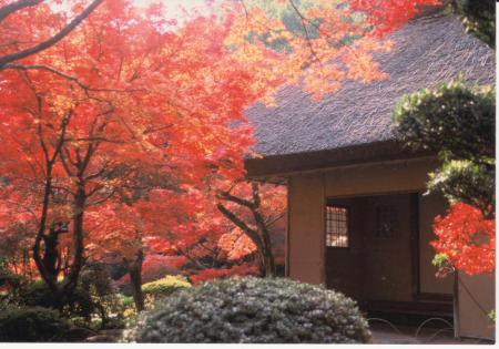 【画像】秋季は９日間のみ限定公開ともあり、今最もアツい紅葉の庭園として多くのファンがこの時期訪れる「九年庵」