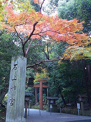 写真