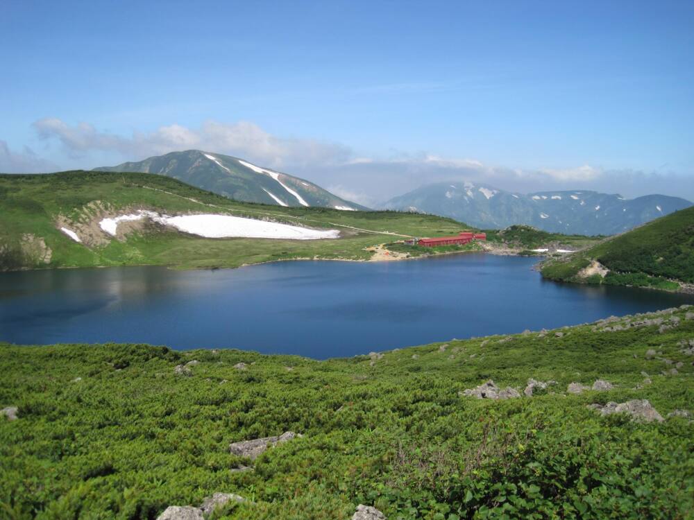 写真