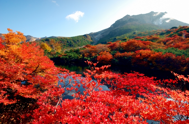 写真